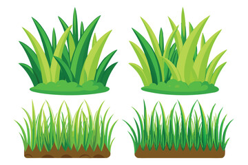 Fresh green grass, isolated plant growth