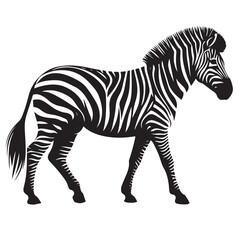  zebra Silhouette vector white back ground