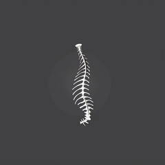 Spine 