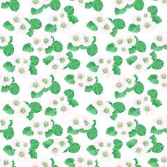 Hand drawn watercolor strawberry blossom with green leaves seamless pattern isolated on white background. Can be used for textile, fabric and other printed products.