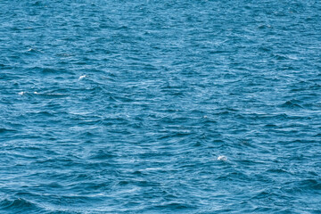 blue water sea background