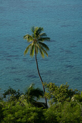 Tahiti French Polynesia