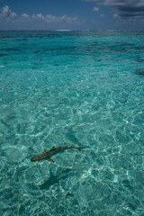 Tahiti French Polynesia