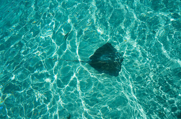 Tahiti French Polynesia