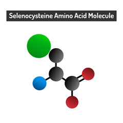 Selenocysteine Amino Acid Molecule - Unique Properties and Biological Significance