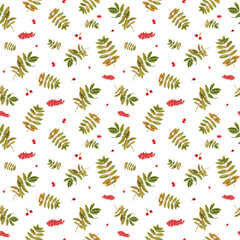 Rowan leaves and berries. Watercolor seamless pattern. Botanical illustration with red berry, autumn leaf. Sorbus aucuparia, or mountain-ash, or quick beam. For room decor, print, textile design.