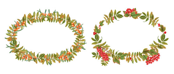 Rowan and Sea buckthorn berries with autumn leaves. Sorbus aucuparia, mountain-ash. Oval wreath with copy space for text. Autumn composition. Watercolor illustration. For greetings, invitations