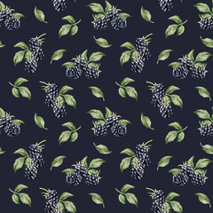 Blackberry, ripe berries. Watercolor illustration, floral seamless pattern on dark blue for table textile, food packages