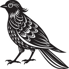 Obraz premium Beautiful bird vector silhouette image.