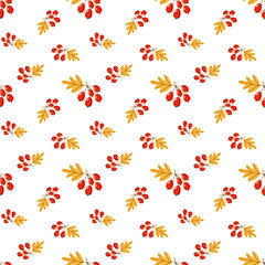 seamless pattern with  rowan berries 