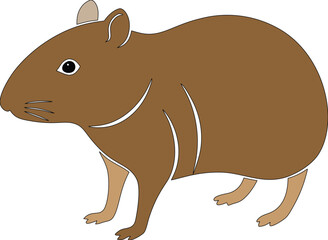 tracing coloring pages for kids and teachers