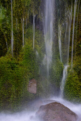 Obraz premium A wall of waterfalls on a green moss-covered slope of a volcano, Iturup Island