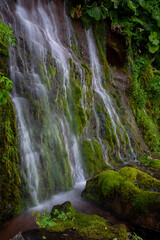 A wall of waterfalls on a green moss-covered slope of a volcano, Iturup Island