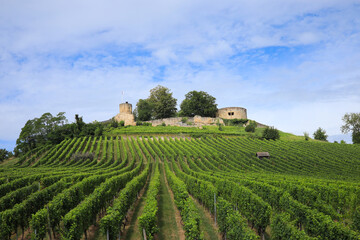 The castle ruins of Weibertreu, originally Weinsberg Castle, Germany