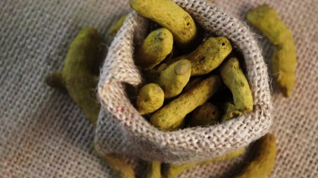 Indian spices dry turmeric root or curcuma longa in bag traditional 4K slow motion video footage. slow motion. 