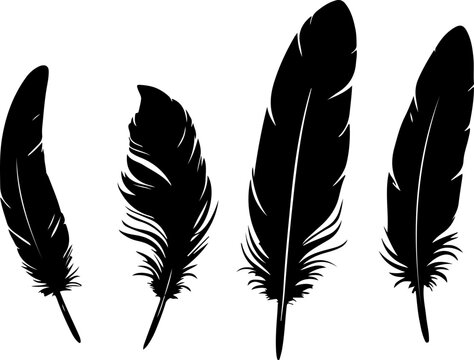 Set de plumes d'oiseaux, vecteur noir isol&eacute;