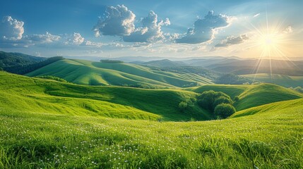 Obraz premium Sun Shining Over Green Field
