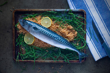 Mackerel with fish