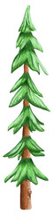 Watercolor pine tree illustration, Forest tree hand painted