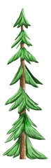 Fir tree watercolor. Hand drawn realistic lush pine watercolor illustration. Green forest plant element. Christmas tree object on transparent background. Evergreen natural fir tree