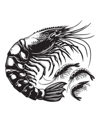 vector shrimp fish vector art,graphics shrimp fishs icons set,vintage illustration shrimp fish clipart,vector shrimp fishs flat style artwork design