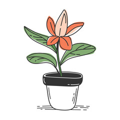 A potted indoor flower. A flowering plant for interior decoration. Vector picture in doodle style on a white background