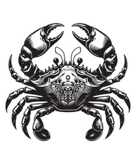 Image of crab vector art,graphics crabs icons set,vintage illustration crab clipart,vector crabs flat style artwork design printed on Printed Glass Splashbacks