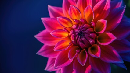 Fototapeta premium A close up of a large pink flower with yellow and orange petals, AI