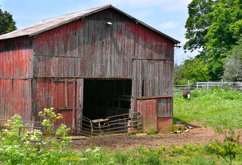 Barn and Gate Weathered and Worn