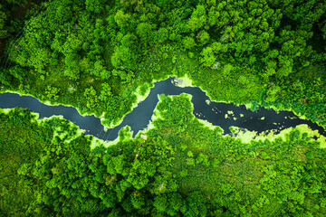 Marshland and river in spring. Aerial view of wildlife, Poland.