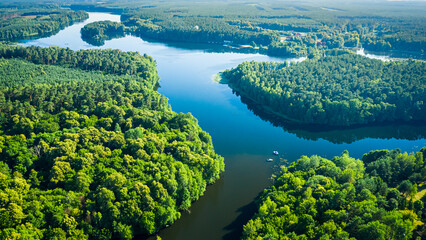 Aerial view of winding river and green forests in summer