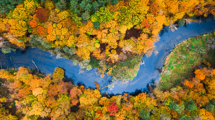 Top down view of river and colorful forest at autumn