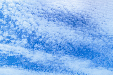 青空に浮かぶ雲
