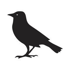 Set of black bird silhouettes illustration art, silhouette bird logo design vector, Birds silhouettes collection