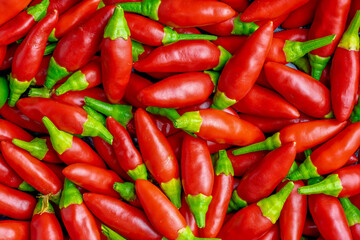 Set of small defocused red chillies, useful for picture background.