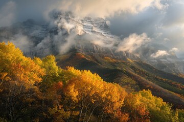 Obraz premium Cloud-covered mountain landscape with trees in the foreground