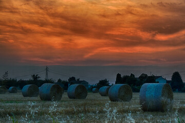 Rolls of straw at sunset San Giuliano Vecchio - Alessandria - Piedmont - Italy.
