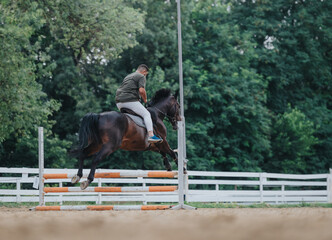 Rider participating in an equestrian event, jumping a horse over an obstacle in an outdoor arena...