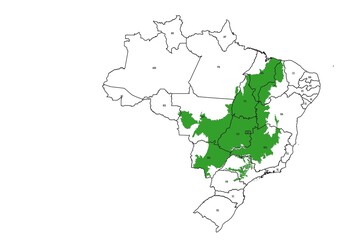 Fototapeta premium Cerrado biome map in Brazil