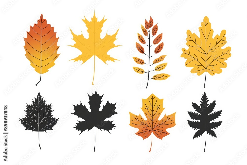 Poster a collection of colorful leaves on a clean white surface, suitable for use in designs about nature, 