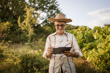 Portrait of senior man stand and hold clipboard in the vineyard