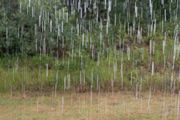 slow shutter speed,  rain, in the mountains of steamboat colorado