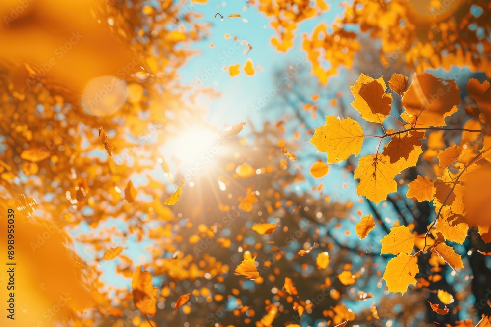 Poster a tree with leaves allowing sunlight to pass through, great for environmental or nature-themed conte