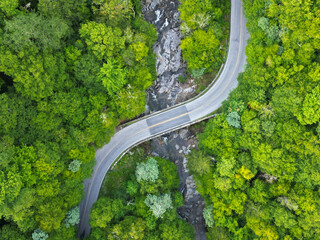 Aerial drone view of Road through forest with river. Blue Ridge Mountains in Asheville, North Carolina in the Summer