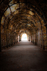Charming Forest Tunnel of Branches and Trees, Rustic Autumn Path with Canopy of Leaves, Light and Shadows Creating a Tranquil Atmosphere for Nature Walks, parks and green spaces Outdoors