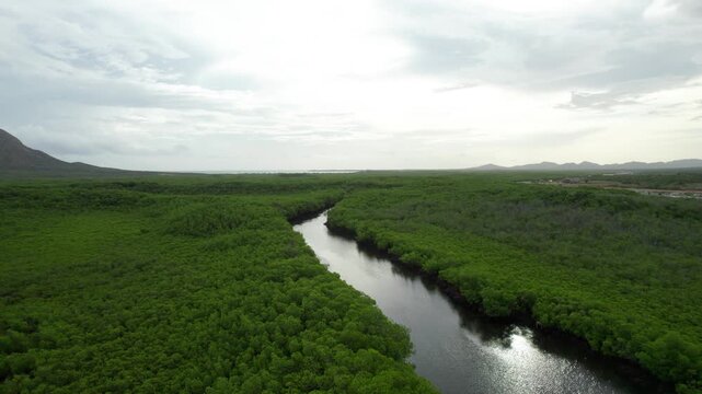 Manglares de montecristi