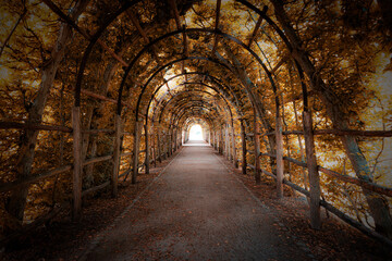 Obraz premium Charming Forest Tunnel of Branches and Trees, Rustic Autumn Path with Canopy of Leaves, Light and Shadows Creating a Tranquil Atmosphere for Nature Walks, parks and green spaces Outdoors