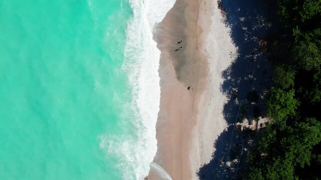 Playa en paraiso barahona republica dominicana