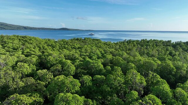 Morning sunlight illuminates the mangrove-fringed island of Lembata, Indonesia. This beautiful and biodiverse area is part of the famed Ring of Fire and is home to high marine biodiversity.