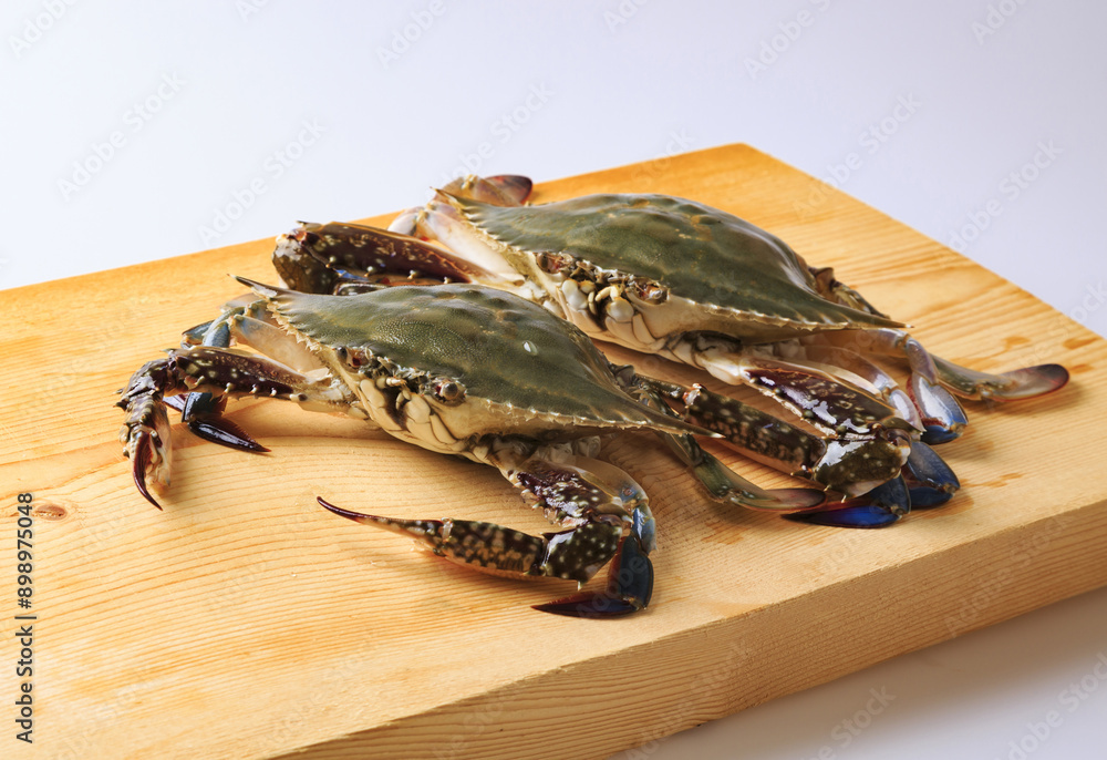 Wall mural Close-up of two raw blue crabs on wood cutting board, South Korea
